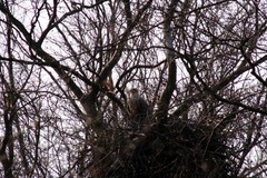 Killikus&reg; Fotographie